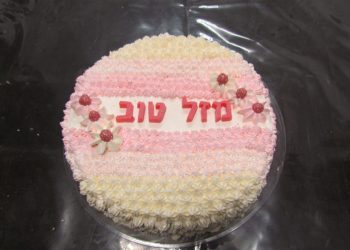 חיה שרה (1)